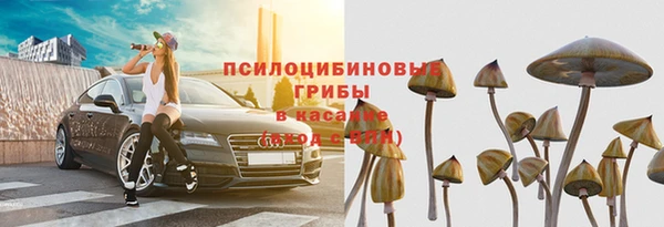 твердый Нефтекумск