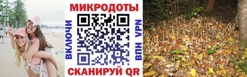 где купить Макушино Галлюциногенные грибы Psilocybe