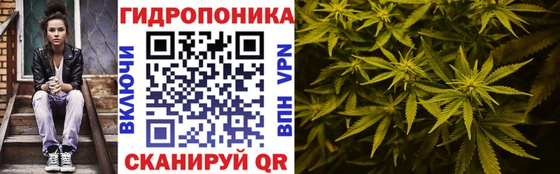 даркнет какой сайт наркота Макушино Бошки марихуана OG Kush